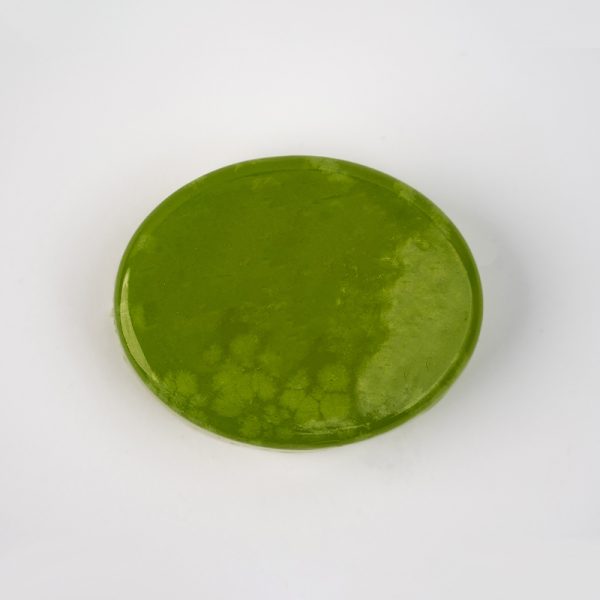 Aloe Vera - Image 3